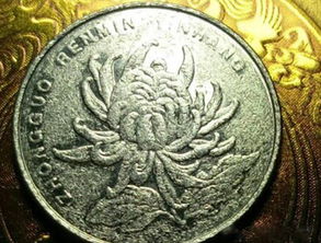 雪花币：菊花一元中的隐藏瑰宝，值得收藏的特殊硬币