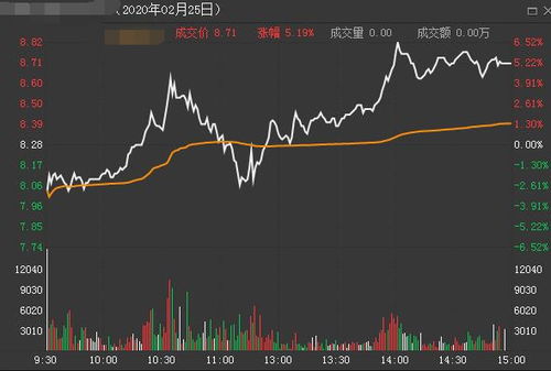 散户如何能集中有限资源，在股票市场合理投资