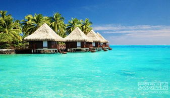 马尔代夫旅游业发展的有效对策是什么（马尔代夫旅游业快速发展的原因）
