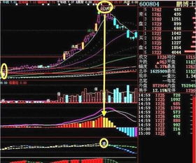 股票高位放巨量换手率高该卖还是持有