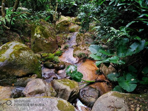 广西景区一巨石屹立崖边千年不倒,神奇不输韶关丹霞山元阳石