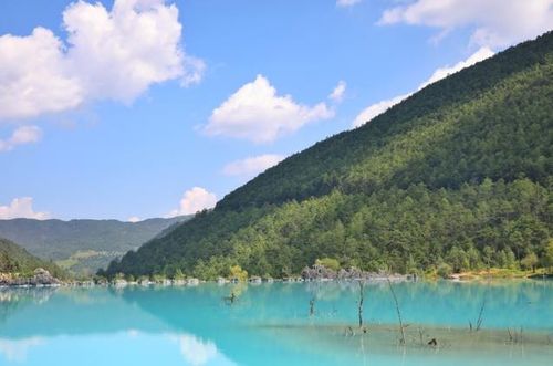 去云南昆明旅游跟团一般多少钱 昆明去西双版纳丽江跟团游 金花轻松游