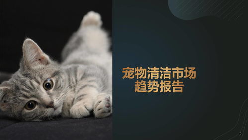 猫咪装死日记攻略游戏解说(猫咪装死的症状)