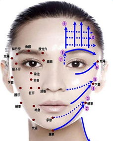 脸部穴位图及功效 搜狗图片搜索