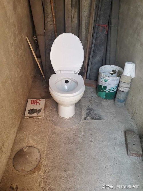 原创你喜欢使用马桶还是蹲便，网友说：看完不想上厕所了