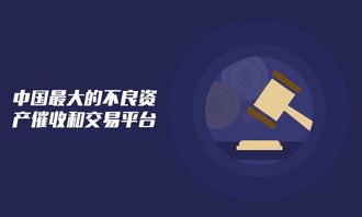 白菜网论坛网站-探索互联网打破信息壁垒的新视角”