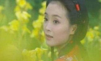 17年过去,才知道陆振华12个女儿的名字放在一起还有这样的含义