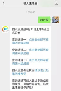 准考证丢了怎么办查成绩,准考证丢了怎么查成绩(图2)