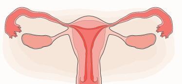卵巢衰退还能治疗吗？进行试管婴儿该如何调整？
