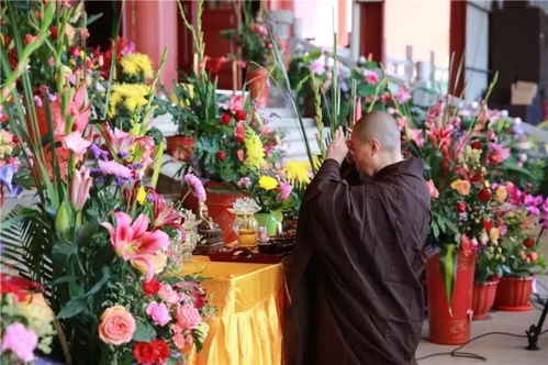 圣空法师讲这一生欠下的 债