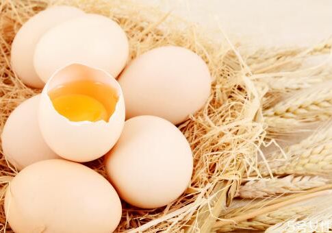 鸡蛋会不会过期 鸡蛋保质期是多长时间