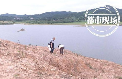 丰城村民上山砍柴捡到 宝 ,还有更意外的发现