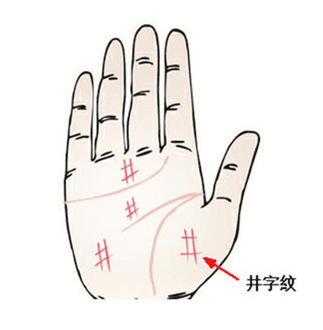 三条手纹分别代表什么 