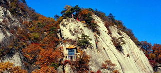 南山 南山门票 南山门票价格 南山票价 南山门票预订 驴妈妈 