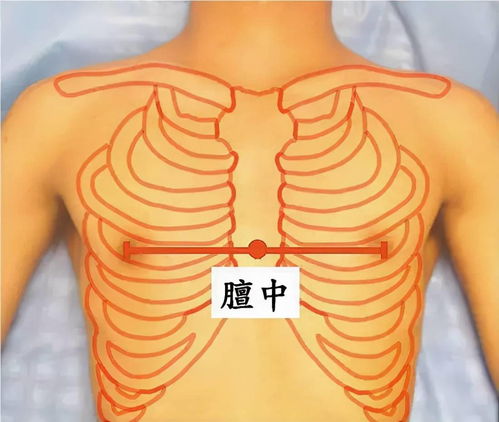 飧泄是什么病,飧泄的解释飧泄的解释是什么(图2)