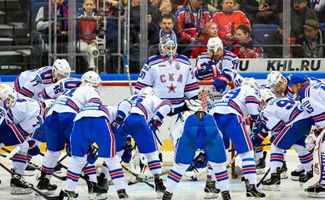 俄罗斯KHL朝圣之路 世界顶级冰球训练营招募中