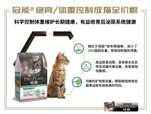 公猫绝育的利与弊,需要吃绝育猫粮吗 终极答案来了