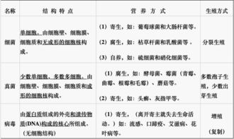 八上生物细菌真菌病毒思维导图