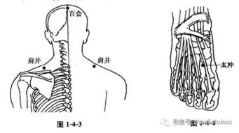 痰浊上扰易失眠,千金不换艾灸穴位图