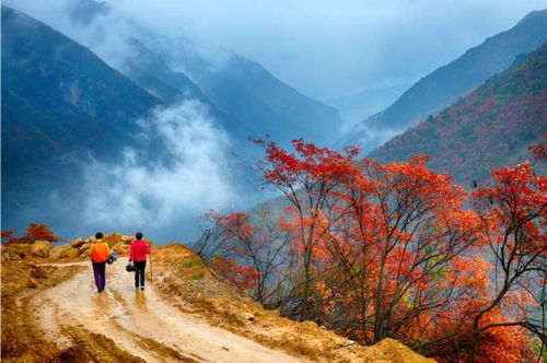 户外徒步,这些登山安全知识你要懂