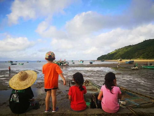 青岛有哪些地方可以赶海 (海陵岛免费赶海停车场在哪)