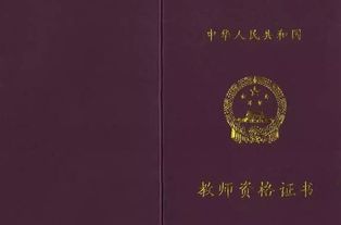 中职教师专业知识与教学能力