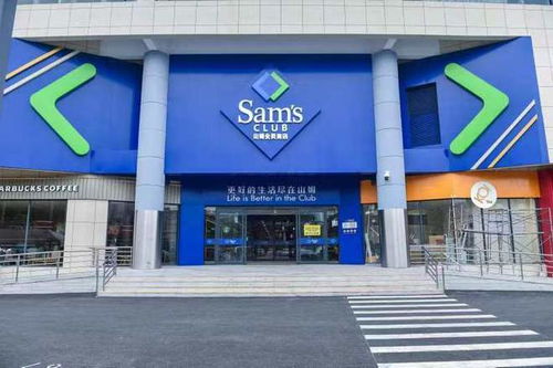 最新大雅查重店铺推荐，紧跟行业潮流