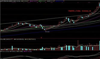 股票短线怎么抓牛股或抓涨停板的技巧？（把你的绝活说出来，让庄家把赚走散户的钱都吐出来让大家一起赚钱！）