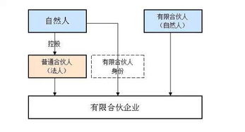 公司新招的高层（总经理助理），一出手就处罚了2位副总。作为老板该怎么做？