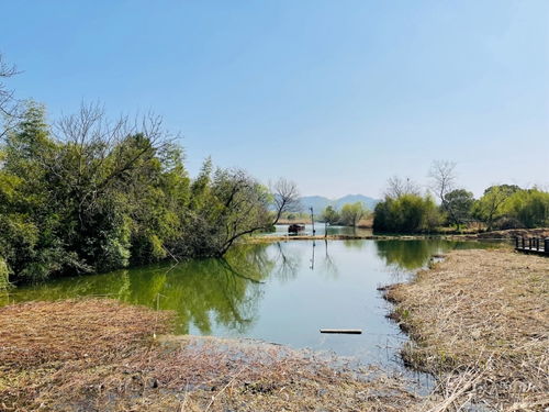 西溪湿地公园一日游