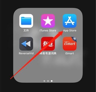 怎么查apple id的游戏充值记录 