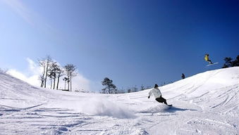 韩国冬季滑雪旅游 
