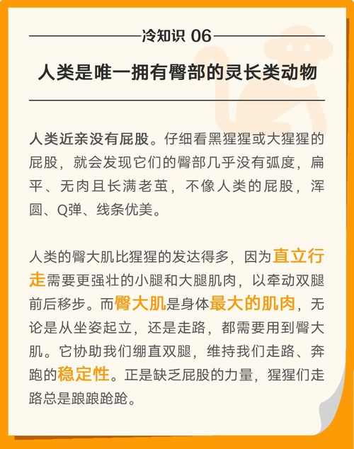 锻炼身体的冷知识？身体锻炼的必要知识