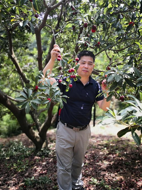 杜海平 木铎之心,弦歌不辍