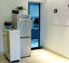 卫生间门对冰箱的风水禁忌的简单介绍(冰箱的位置能不能对着厕所)