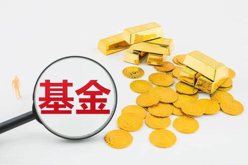 现在国内什么基金好?