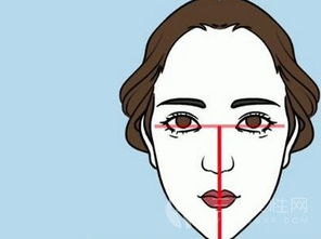 如何分辨自己的脸型 不同脸型怎么画眉毛 