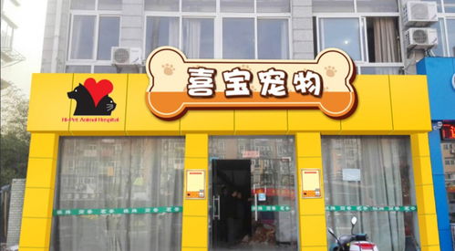 宠物店设计案例效果图