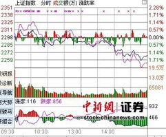 创业板指为何五点多就跌停了