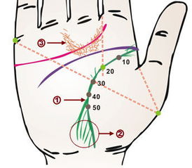 易经堂 从掌纹看男人的财运和健康 