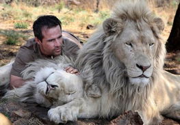 南非 狮语者 与狮群的亲密接触 