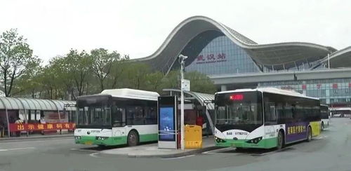 3月29日起,武汉新增36条公交将正式上路运营 n n