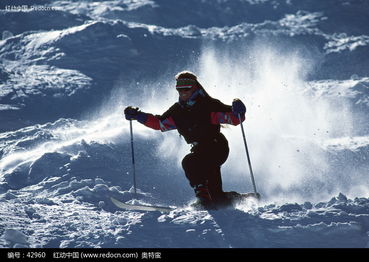 滑雪运动16图片免费下载 红动网 