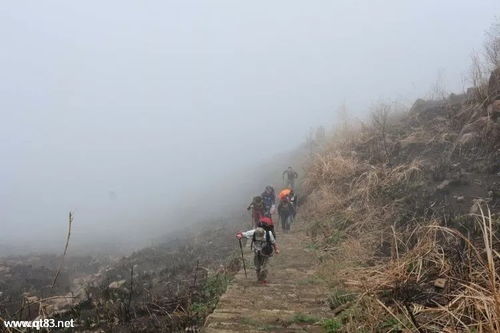 探险初级 11月26日 周天 罗源仙茅山登高望远走古道活动公告