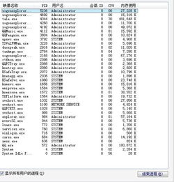 麻烦高手看下我的系统进程 有没有问题 