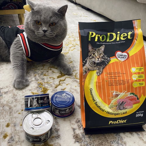 ProDiet博黛 博黛宠物食品天猫旗舰店上线,优质宠物食品惠及更多家庭