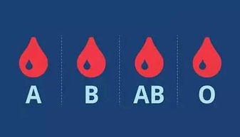 咦,血型为什么是ABO而不是ABC 