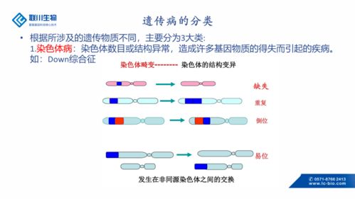 染色体病和遗传性疾病基因检测 