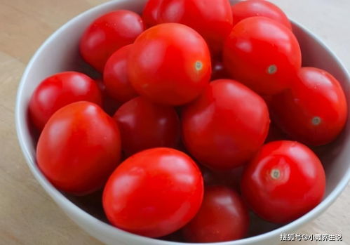 圣女果是凉性还是热性,番茄是热性还是凉性？