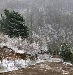 你以为天津入夏 今天雨夹雪 后面还有扬沙